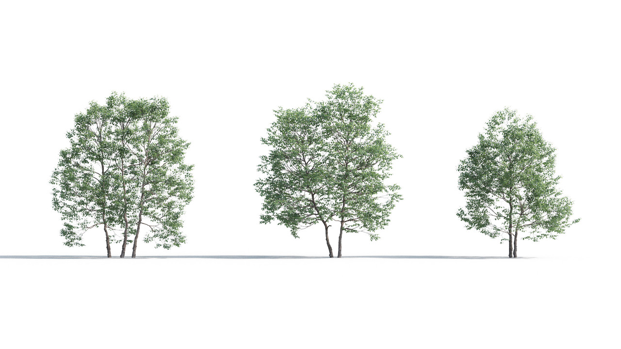 TV-cay_3dsmax_tailieukientruc (7)