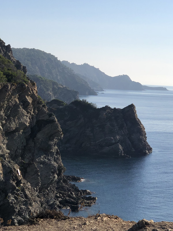 4515C948-2DAE-41D4-A778-37A07A518872