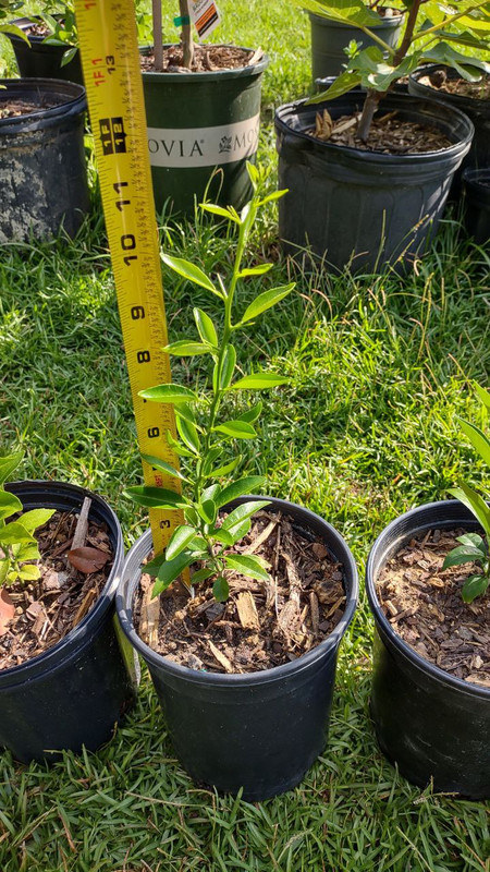 photo_2025-07-23_09-30-07 (8)