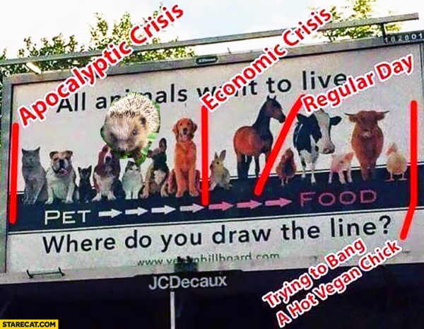 line.jpg