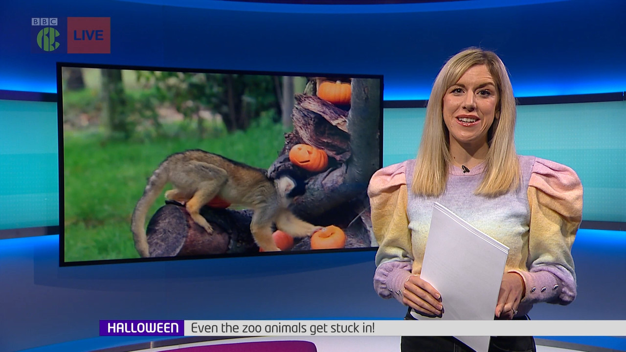 Newsround_20211023_07450755.ts_snapshot_10.08.798