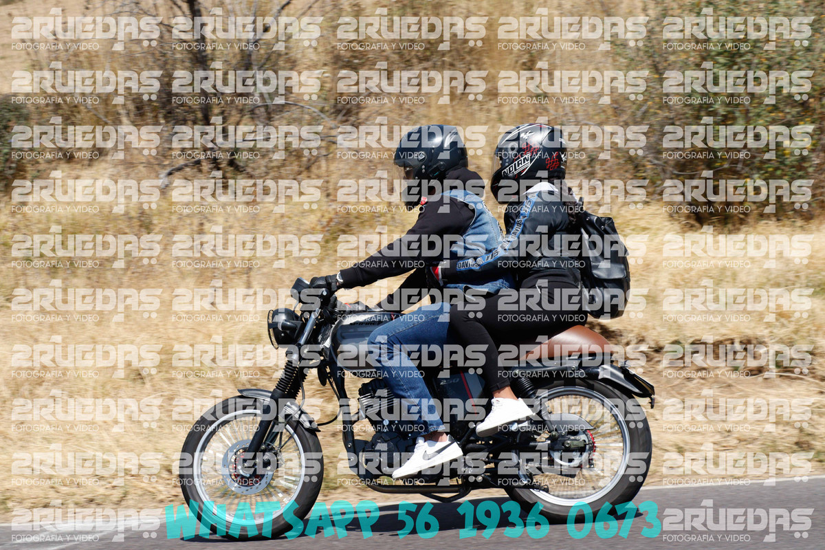 MG 0786 — Postimages