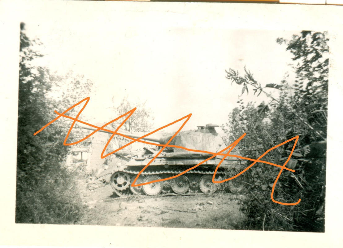 Orig. Foto Panzer Panzerjäger Bison Marder Panth