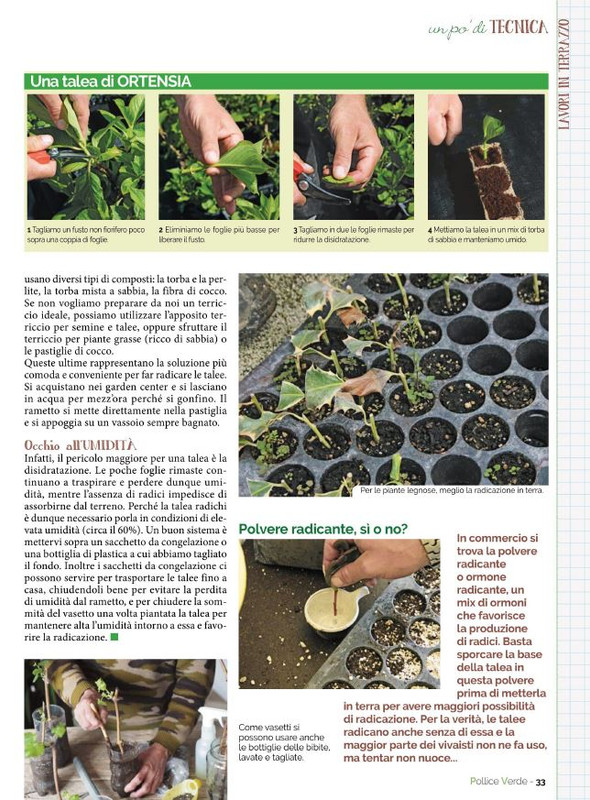 Pol Ver Giu 2022 (6)