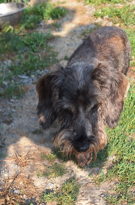 [Image: 20250818-094807.jpg]