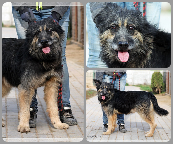 BeFunky-collage (16)