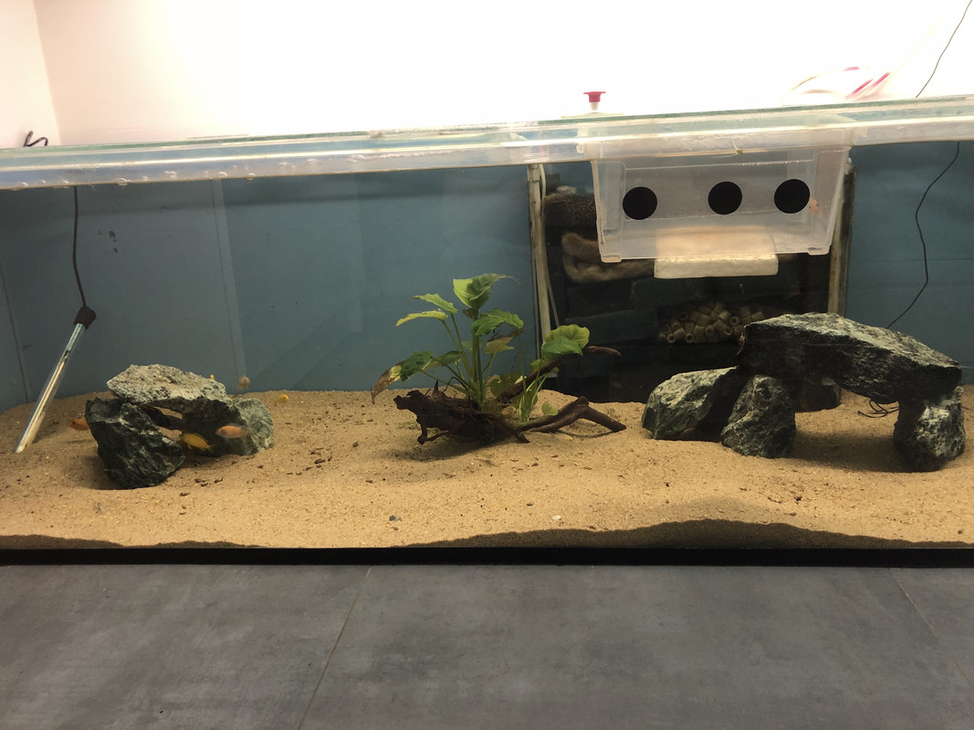 pRhLWoTdQL2wt6M19rC94w