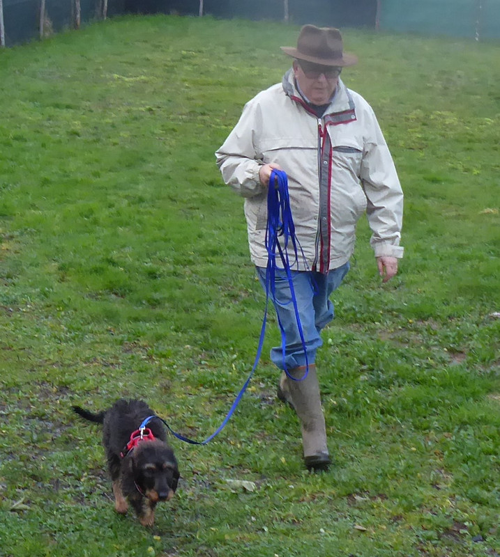 [Image: P1040462.jpg]