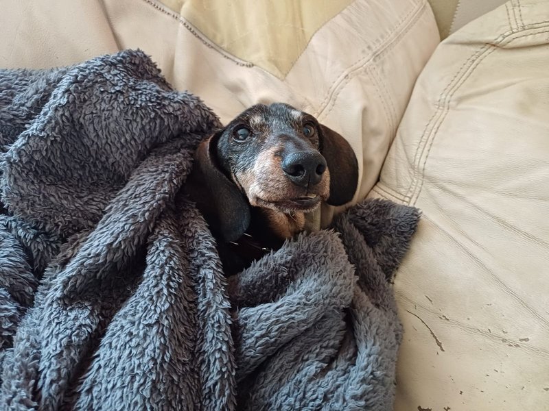 [Image: IMG-20240404-WA0000.jpg]