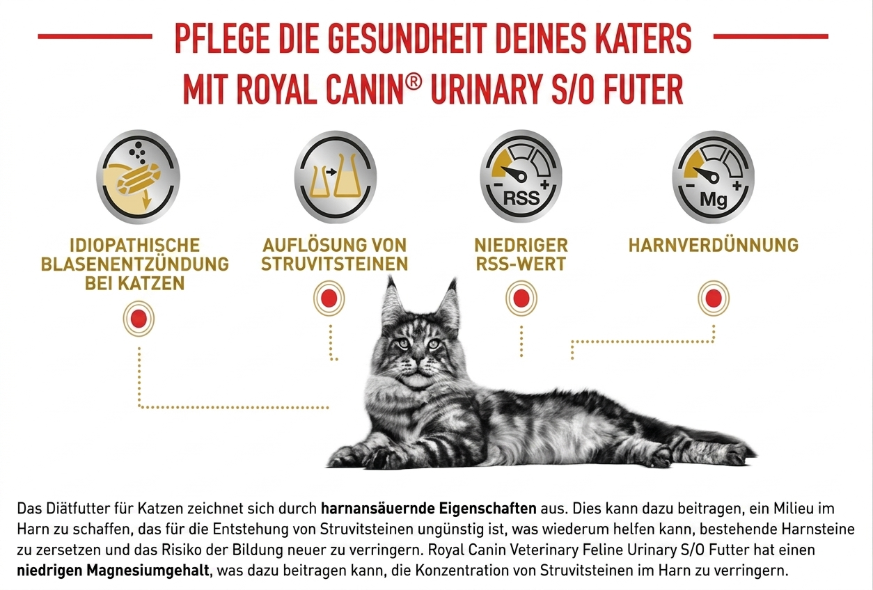 Diätfutter Katze Harnwege