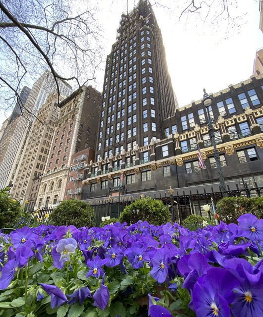 D2119-F38-E07-C-4-A21-8-D74-4-ABB3795597