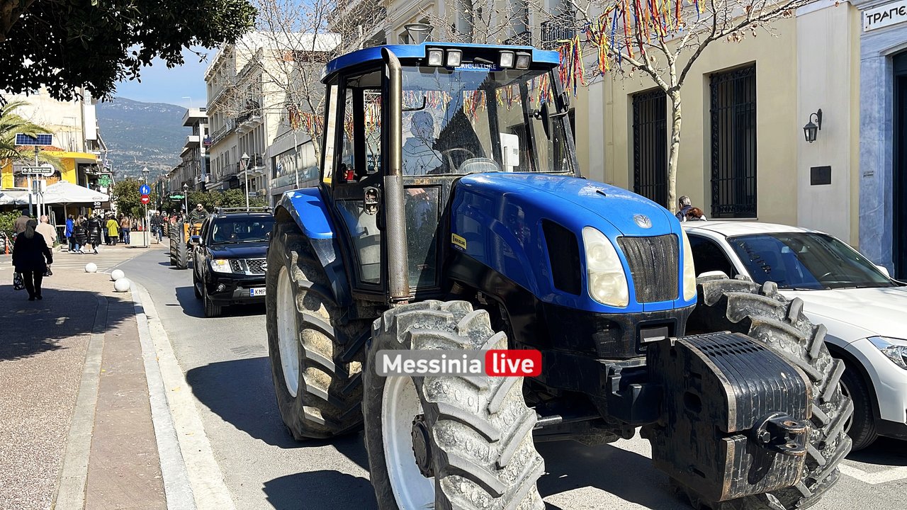agrotes-IMG-9556