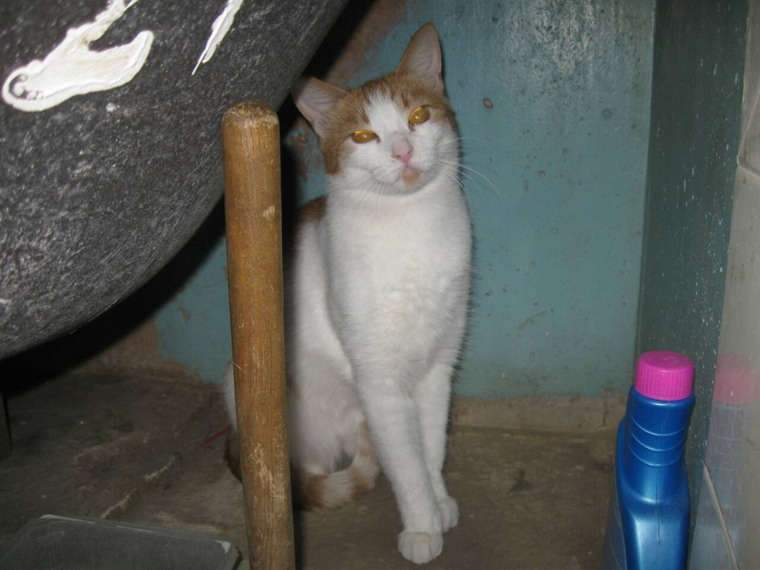 IMG-b4153e0ce89f593214b4cce395f2e55e-V