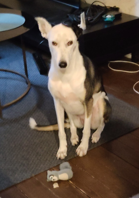 IMG_20251002_074048~3