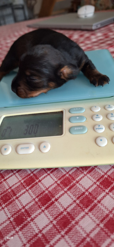 [Image: 20250428-083452.jpg]