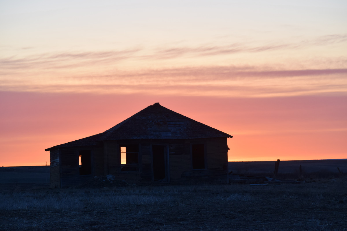 DSC_0066 (1)