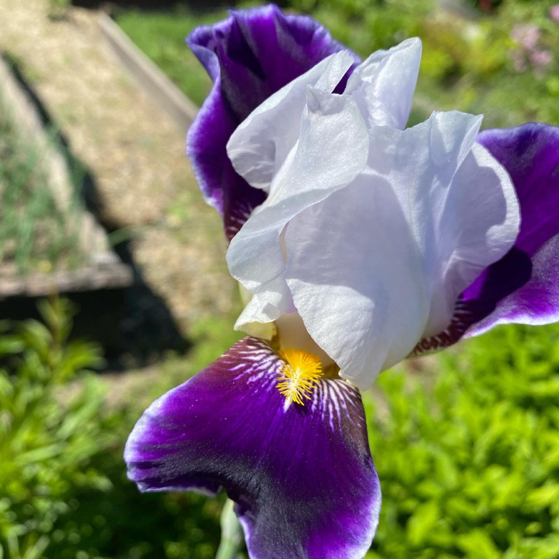 E16312D7-A0E4-498E-9F20-EC08F71DDFB6