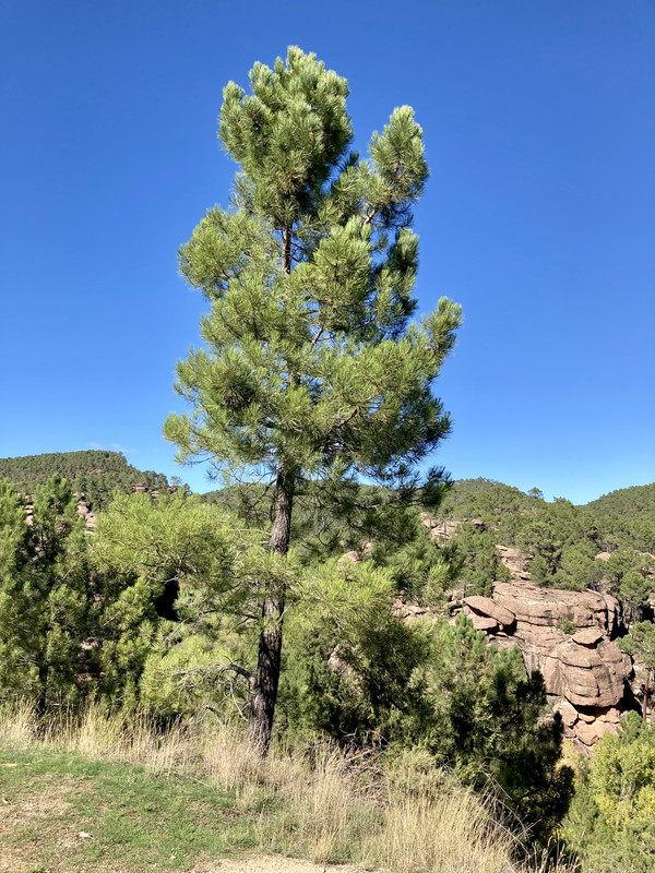 42CB6877-3F7A-4E88-BAA1-1B1DCCB9ED32