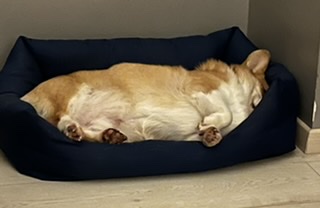 [Image: 048252-AB-5-A64-4-E89-8046-0-B2-F3-C787964.jpg]