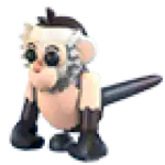 Capuchin Monkey