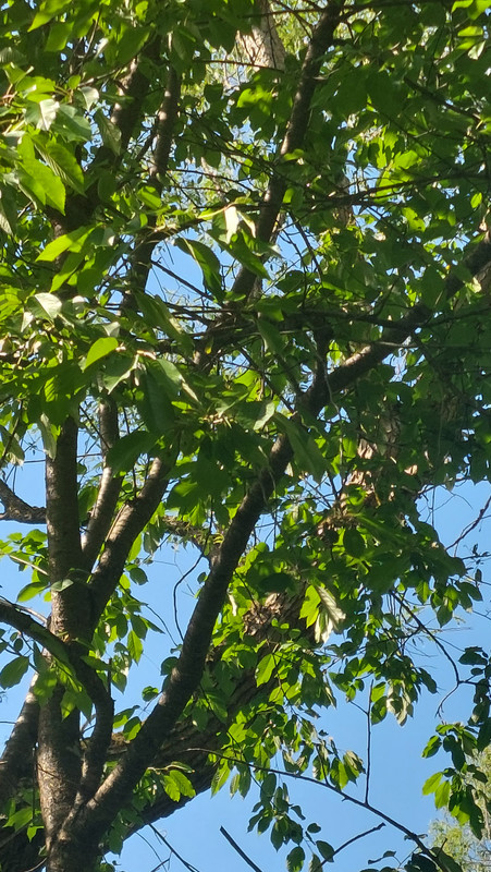 07.14b - 20220618_162335 (TomaszK)