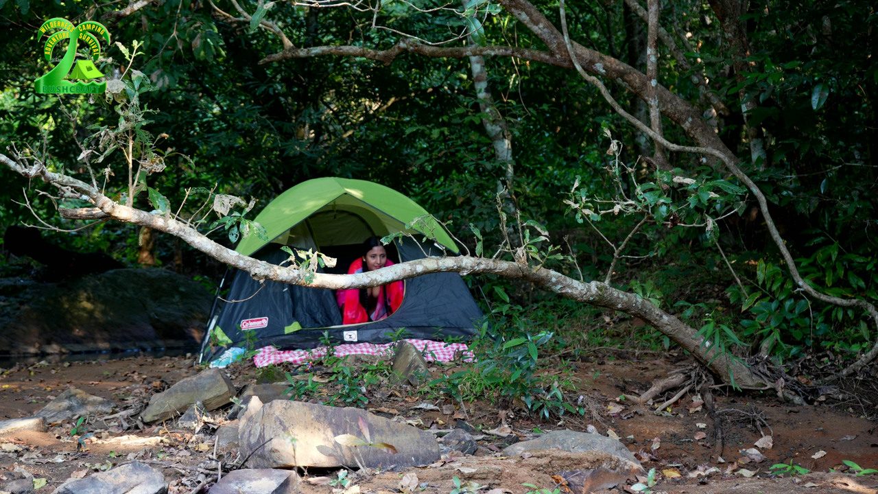 vlcsnap-2023-01-24-16h01m46s389