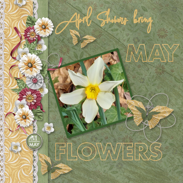 May-Flowers.jpg