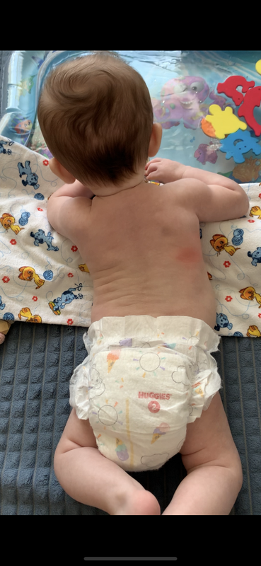 AD74B61B-C80A-4ACD-BB7B-5E0EB0B55134