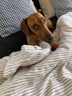 [Image: 45685-DF4-BA20-4417-86-E8-702-FA8-B0-FCF9.jpg]