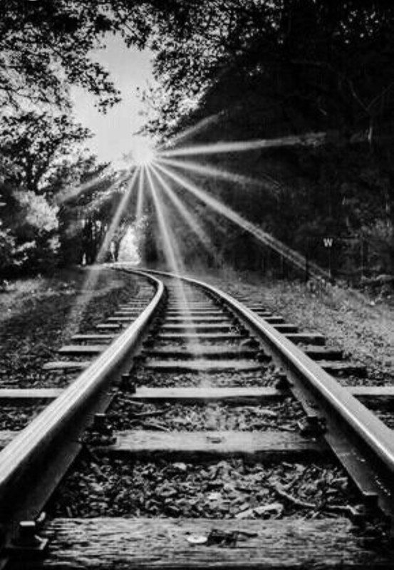 Screenshot_20230125_210329_Chrome