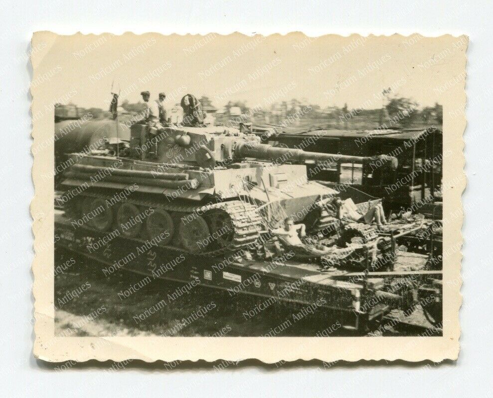 Foto Panzergrendier Division GD - TIGER 1. Panzer VI, Nummer 33, Tank camo