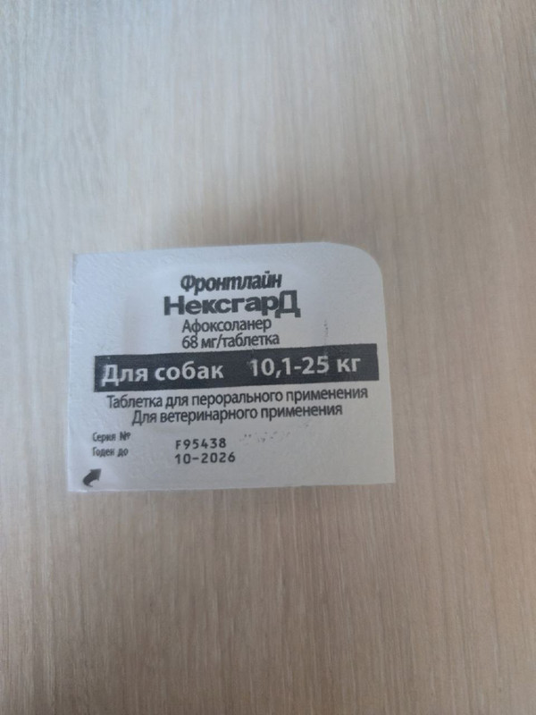 photo_2025-08-15_20-58-14