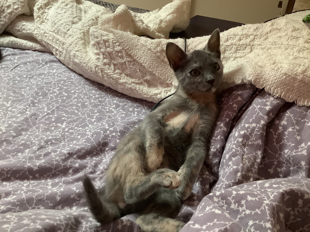 538443DB-3CCB-4798-A885-66BDCC069D5F