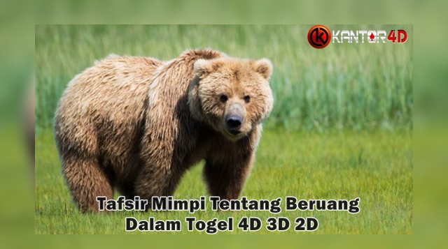 Tafsir Mimpi 2d 57