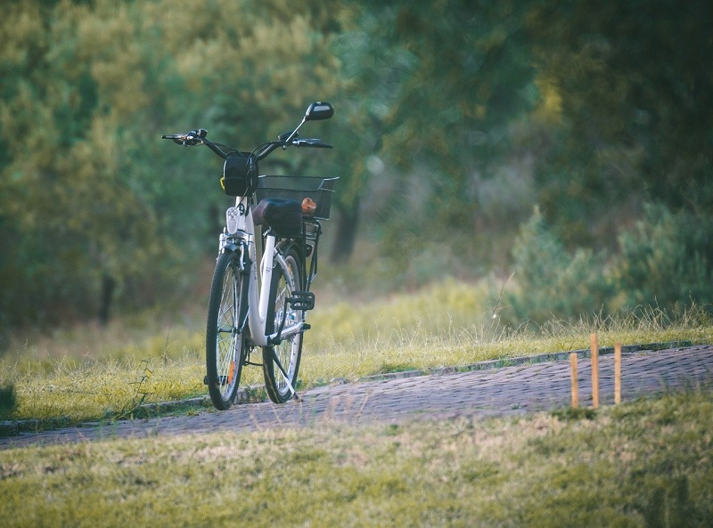 ebike