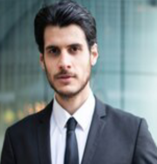 Robert Wilson - Natural Beauty