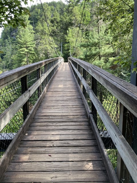 [Image: IMG-2455.jpg]