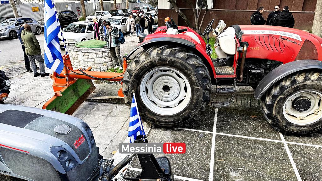 AGROTES-DIKASTHRIAIMG-6644