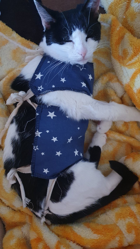 134241C3-CC8B-462F-A09E-E1FCD38968FF