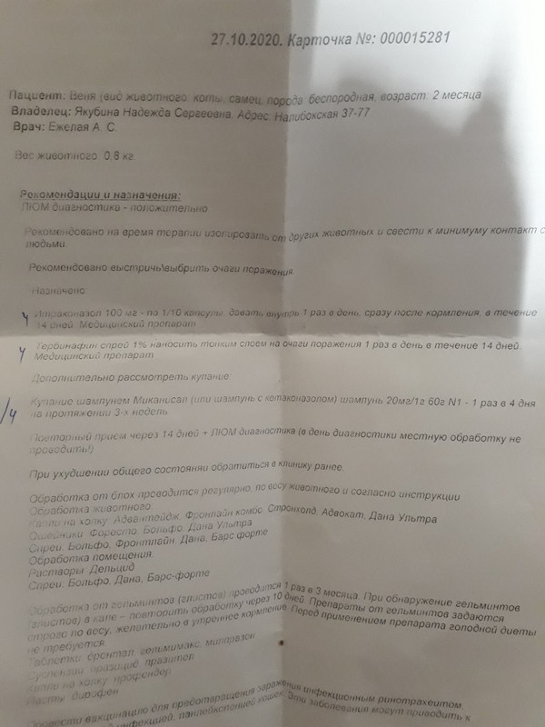 изображение_viber_2020-10-28_21-11-41