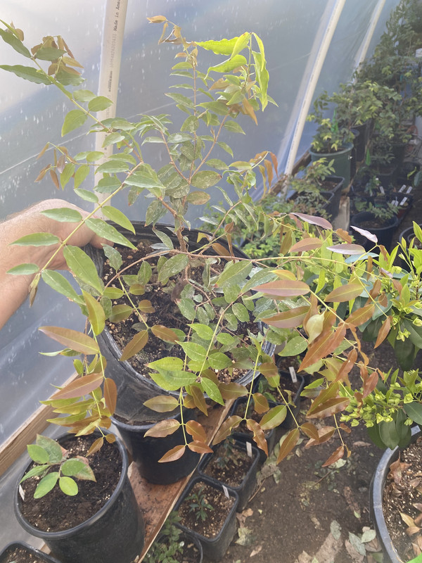 9EDDCC70-B30E-4926-84D8-7CCA433409AD