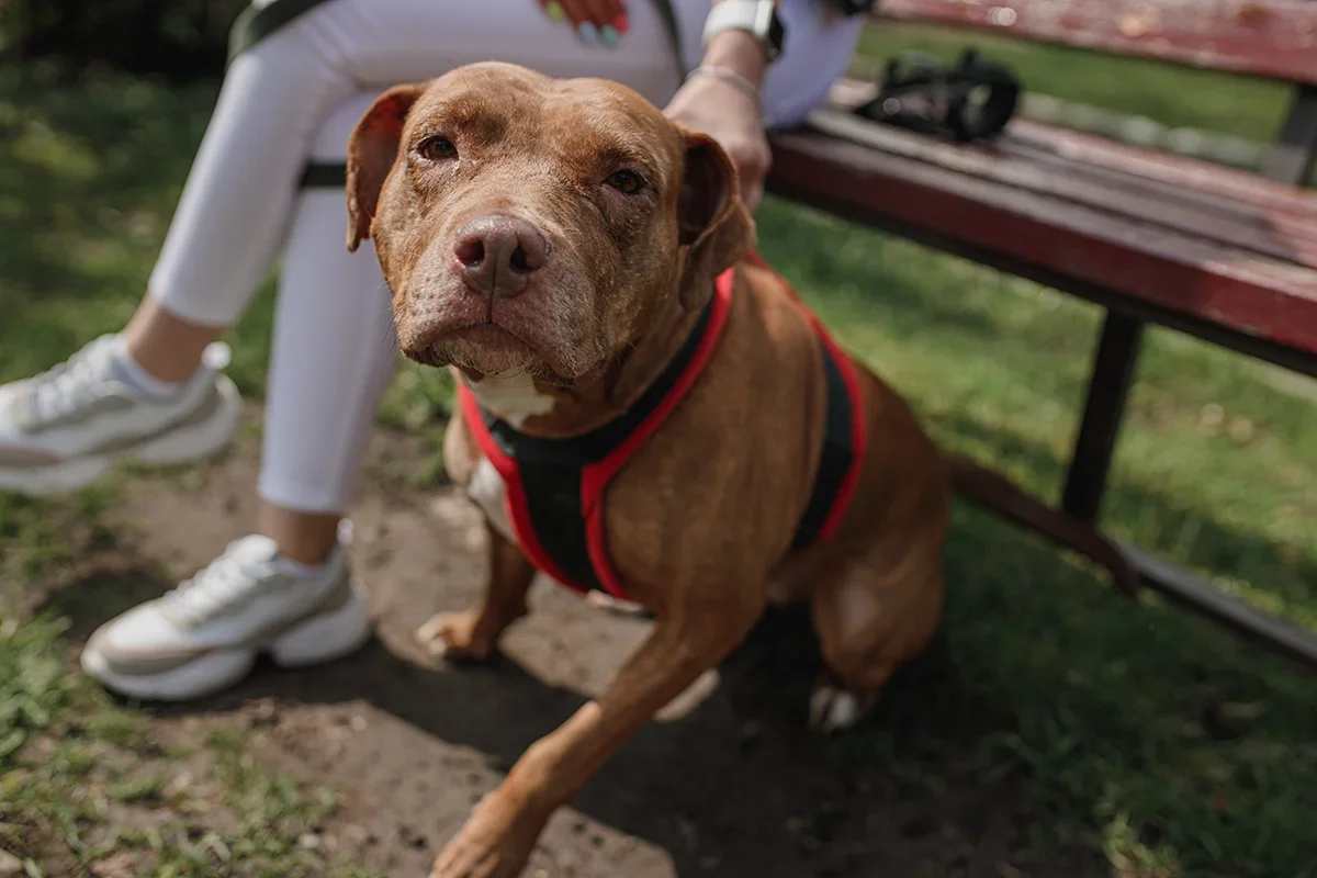 5DF4B3E1-EE5A-49D4-BD3E-F44F91103537