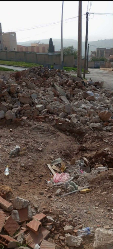 662117913-1389025486601415-4205529002323384090-n