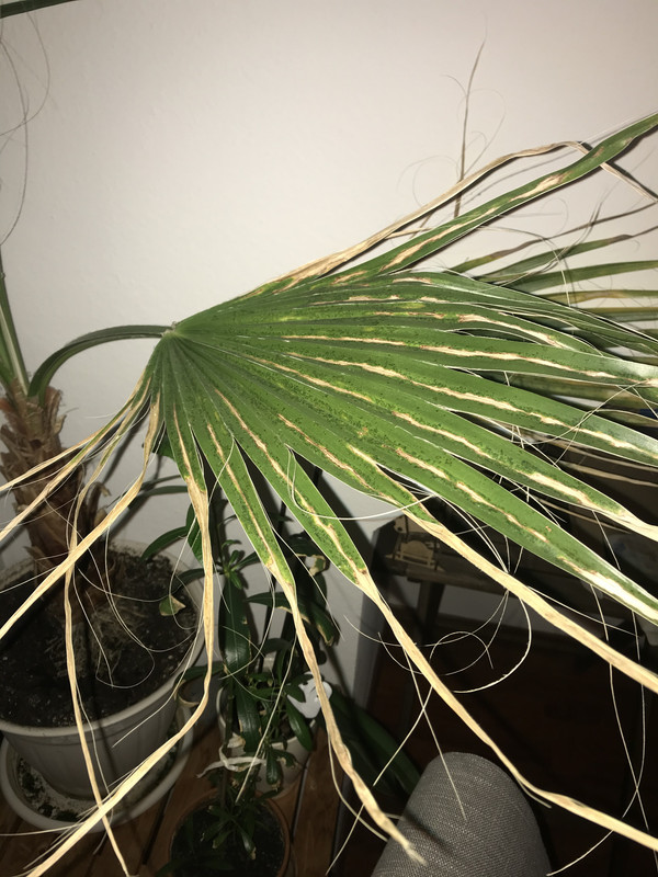 808702BE-B3F5-4FAE-8BCE-9E6C609F2248