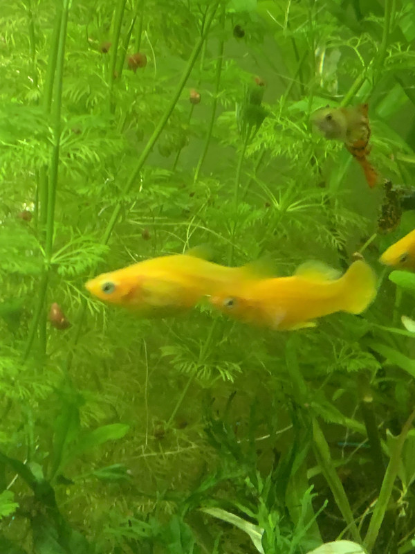 8741036E-EA08-4925-BB2D-4F7AE5AEE38E