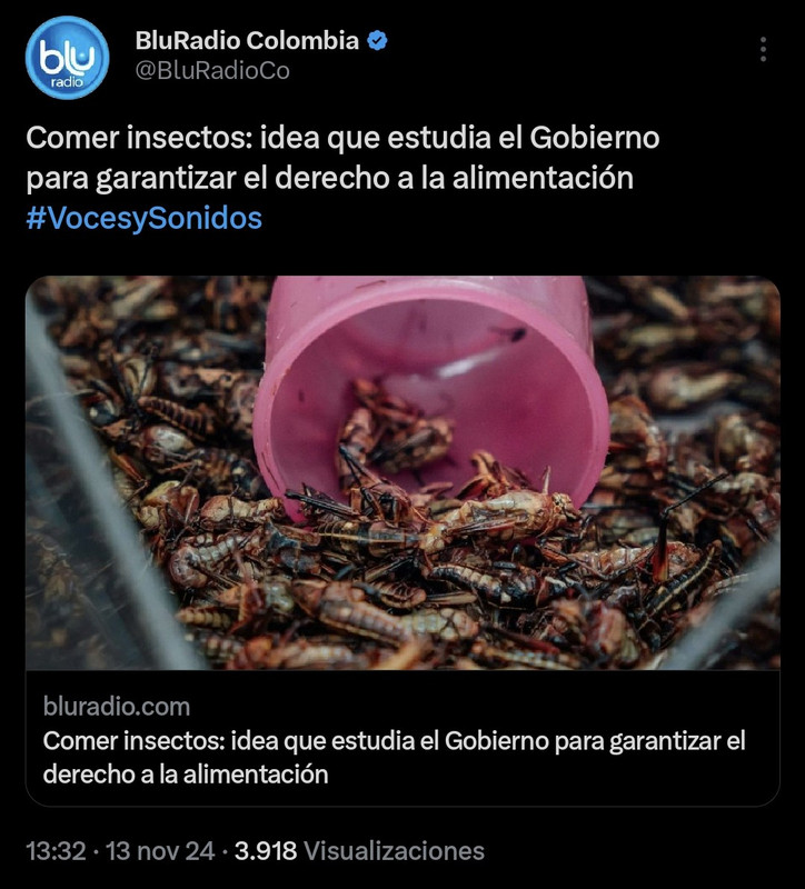 Screenshot-20241113-140551-X.jpg