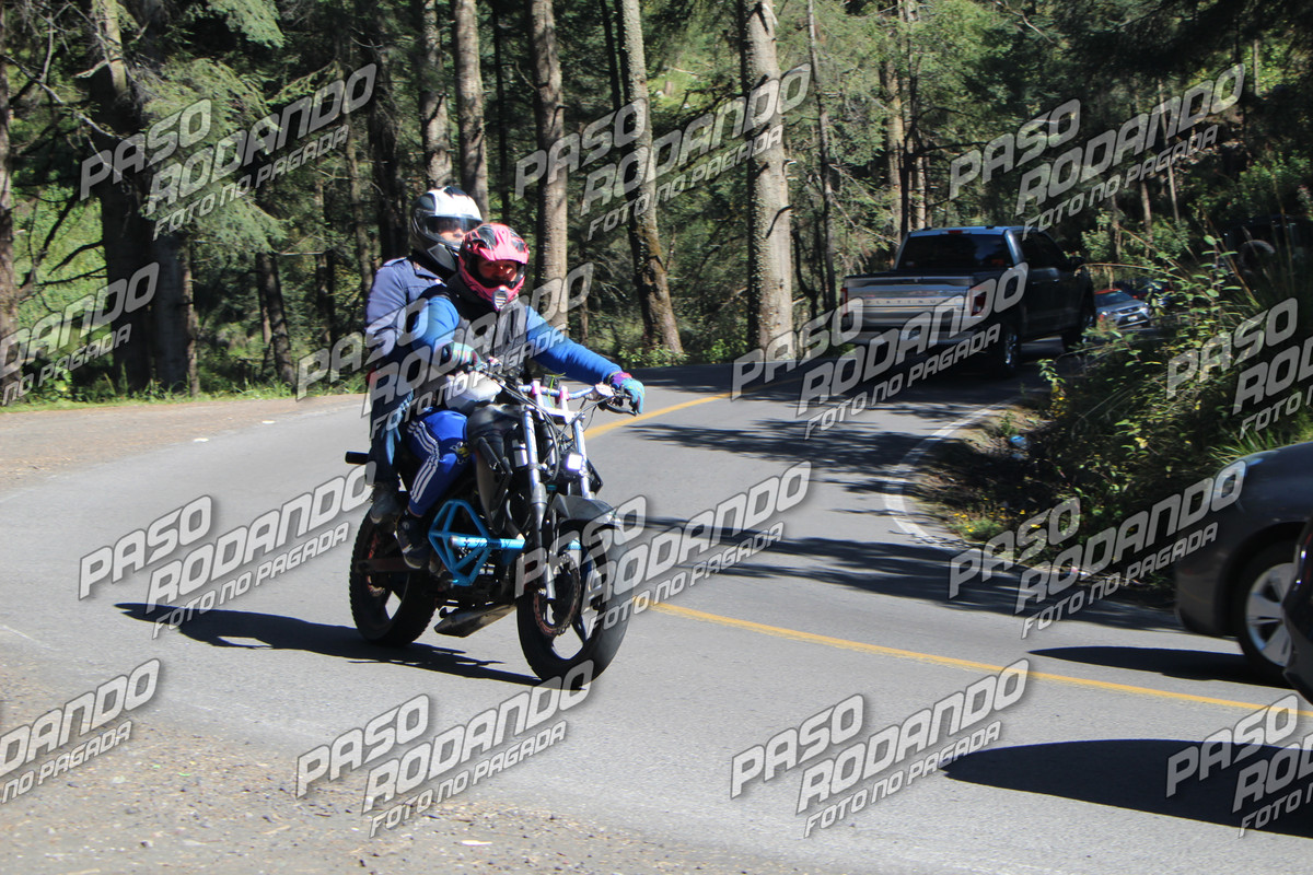IMG 3452 wm 109242 5 watermarked — Postimages