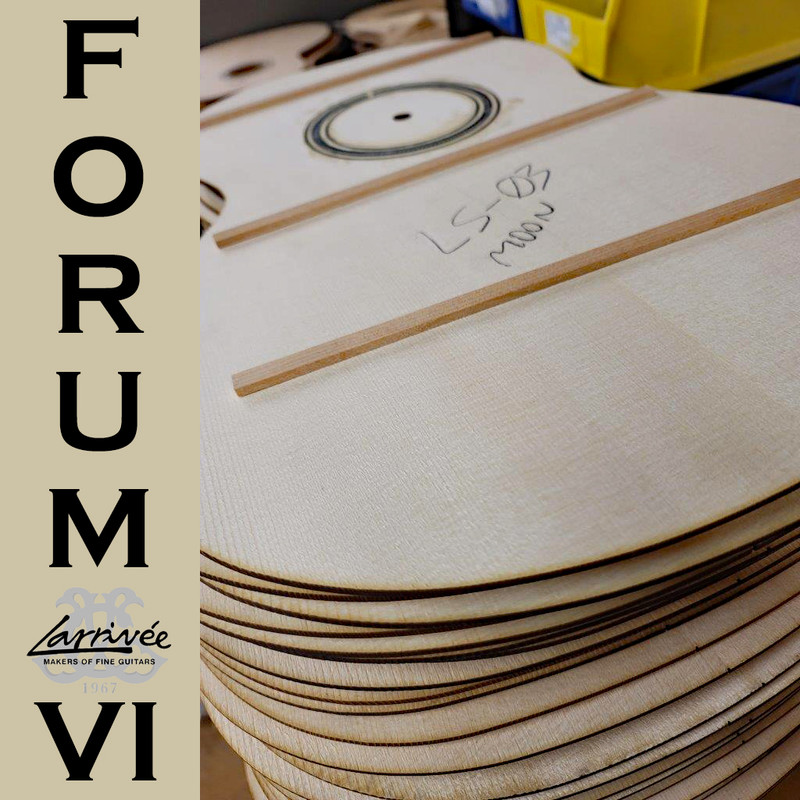 Larrivee-Forum-VI-2.jpg