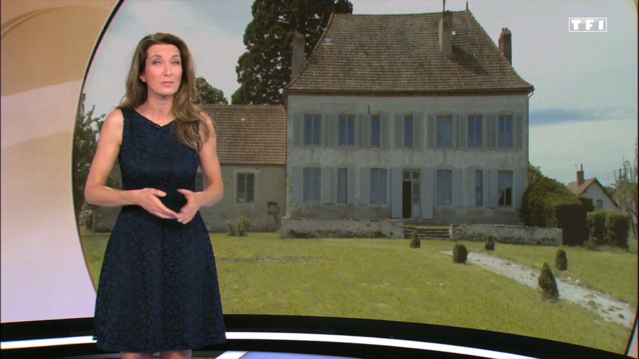 2022-02-20_13_00_TF1_Le-13h_Anne-HIDALGO.mp4_snapshot_00.46.15.216