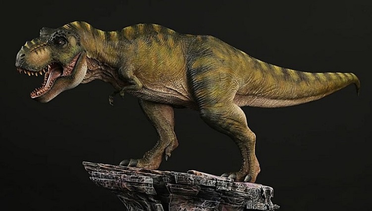 NANMU-TREX-COLOR-8-A-FOTOR-1.jpg